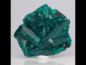 30g Dioptase Crystal Specimen from Congo