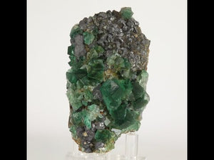 276g Greedy Hog Pocket Daylight Fluorescent Fluorite with Galena