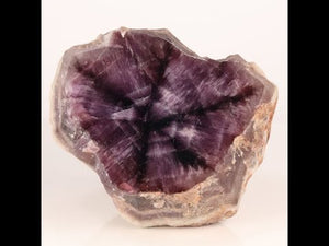 360g White Shell Trapiche Amethyst Crystal from Brazil