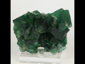 197g Intense Daylight Fluorescent Greedy Hog Pocket Fluorite