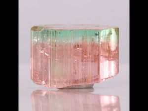53ct Bicolor Pink & Green Tourmaline Crystal from Congo