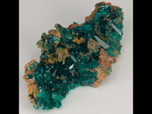 13.7g Dioptase Crystal Specimen on Matrix from Congo