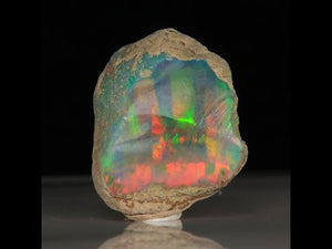 Dark Base 33.65ct Ethiopian Opal Rough Specimen