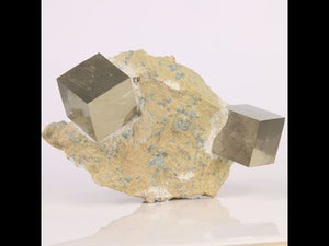 338g Double Pyrite Crystal Specimen on Matrix