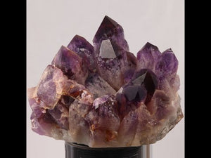 16 kilo Large Ametrine Crystal Cluster from Boliva