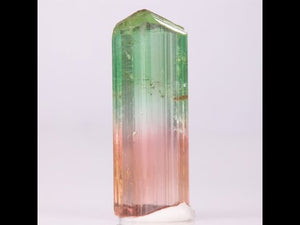 14ct Gemmy Tricolor Congo Tourmaline Crystal