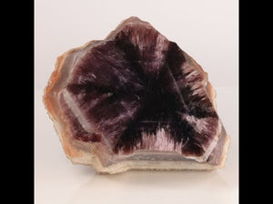 320g Costa Marques White Shell Trapiche Amethyst Crystal