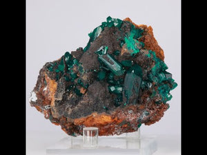 170g Multi Crystal Dioptase Specimen from Congo