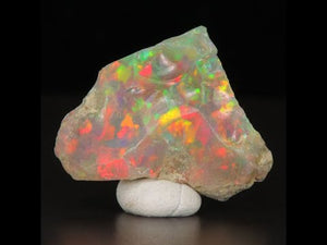 18.79ct Raw Ethiopian Opal Specimen with Intense Colors