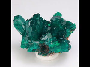 11g Dioptase Crystal Cluster from Congo