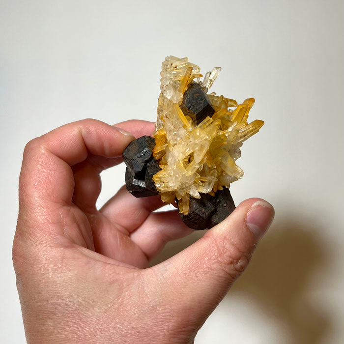 Oxidized pyrite crystals among quartz from Hekou Yunnan China