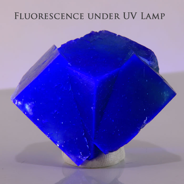 Daylight fluorescent green fluorite from Rogerley Mine in England featuring intergrown crystals and vivid blue longwave UV fluorescence.