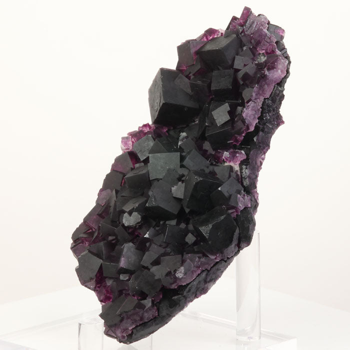 natural purple fluorite mineral specimen with densely packed cubic growth