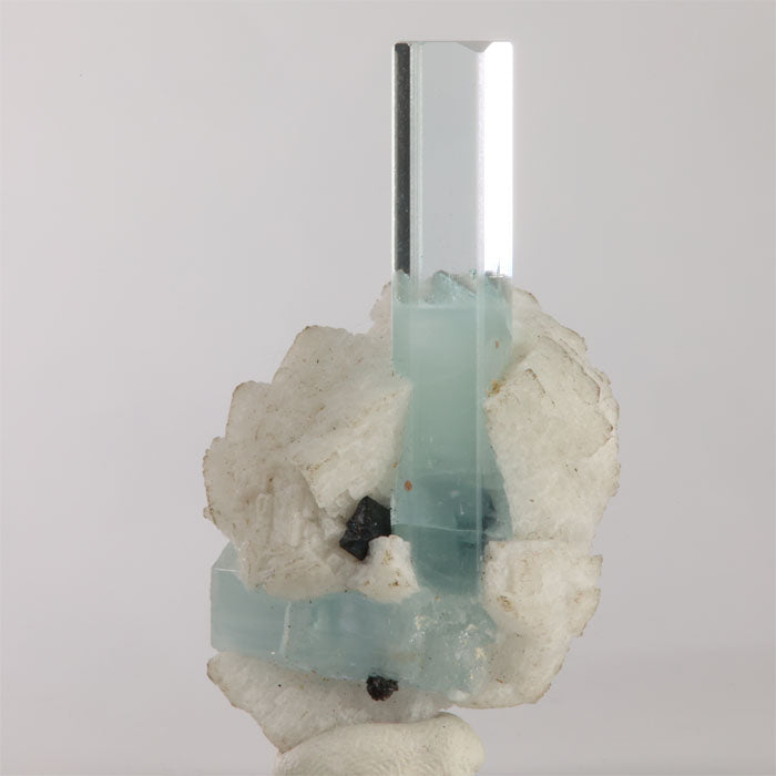 Transparent aquamarine crystal rising from a thick white mineral matrix with a contrasting black crystal from Shigar Mine, Pakistan.