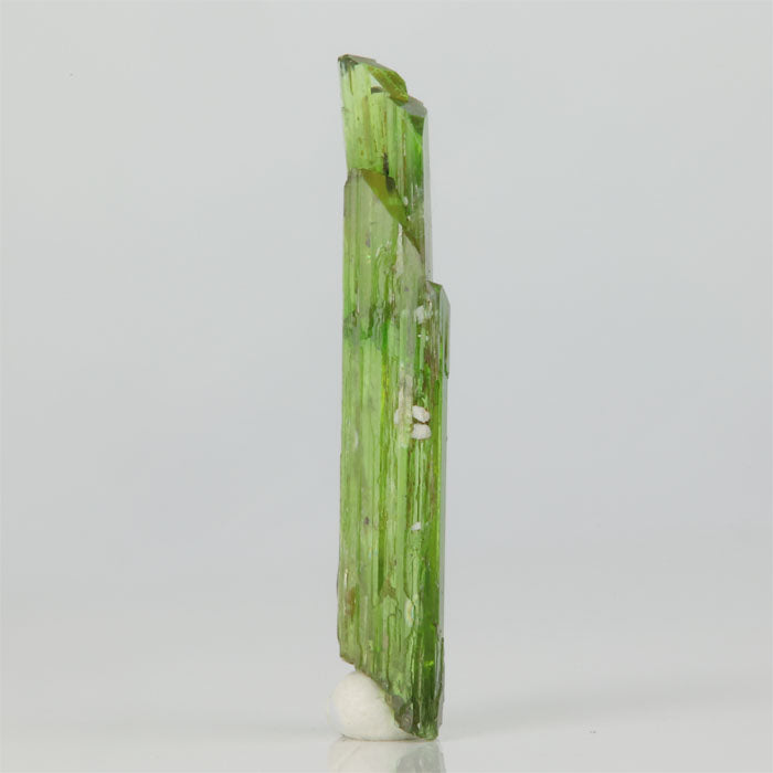 slender green tremolite crystal collector specimen natural mineral