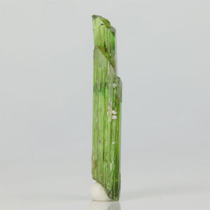 slender green tremolite crystal collector specimen natural mineral