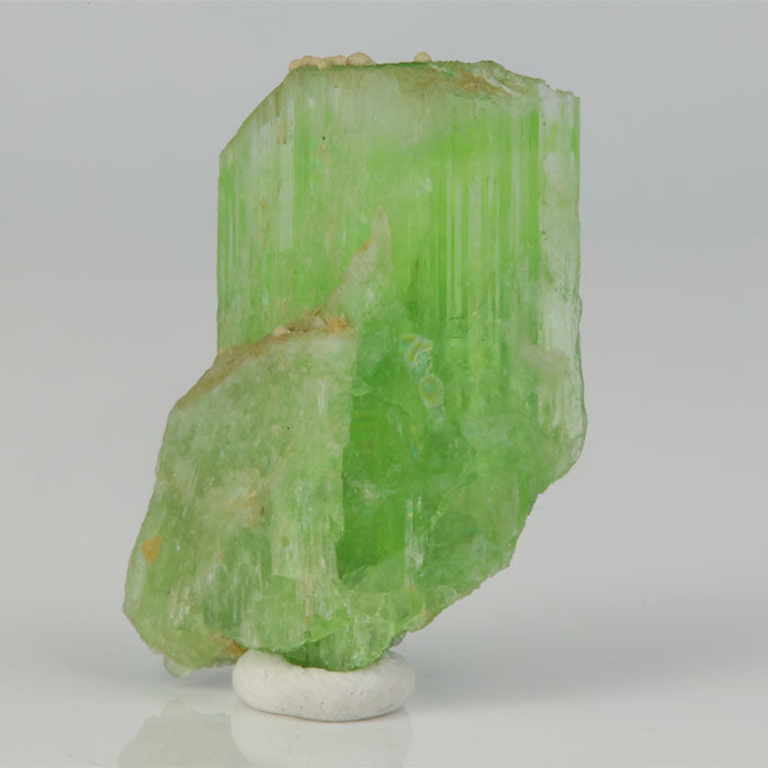 vivid green tremolite thumbnail crystal translucent mineral display