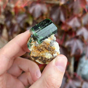 Tanzania Green Tourmaline Crystal Specimen