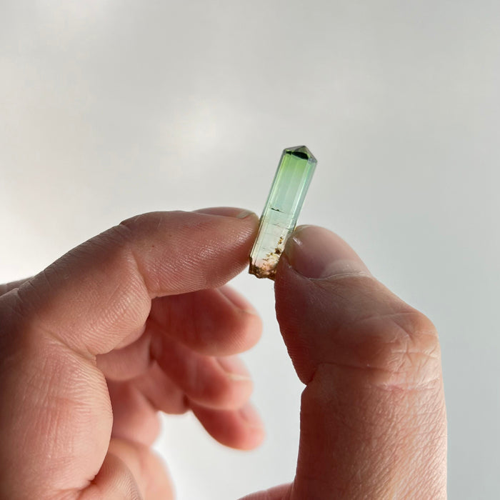 Light Green Tourmaline Crystal Specimen from DRC