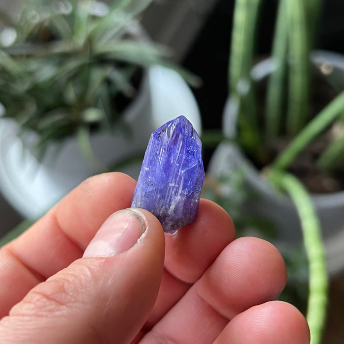 Tanzanite Crystal
