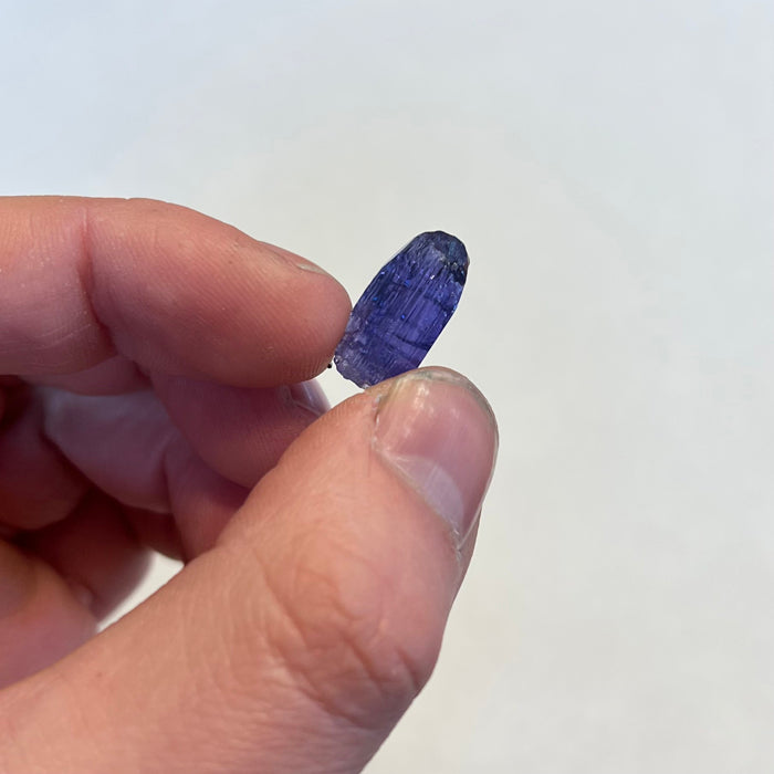 Gemmy Raw Tanzanite Crystal Specimen