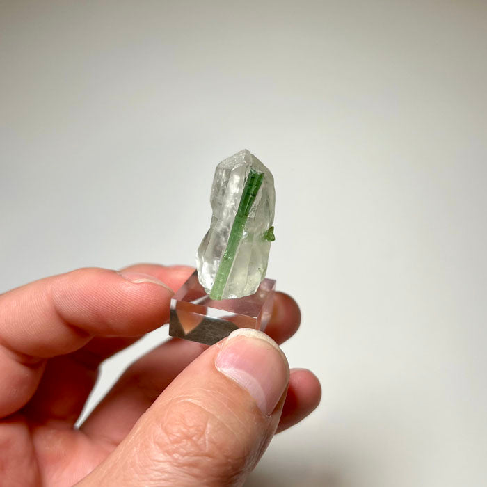 Green Tourmaline crystals enclosed in clear Quartz