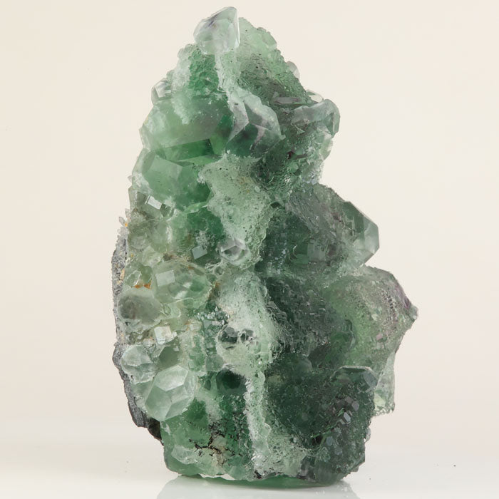 Natural gemmy fluorite crystal cluster on matrix