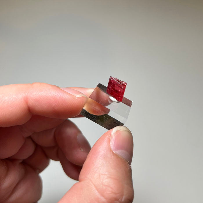 Gemmy watermelon-red Rhodonite crystal from Brazil