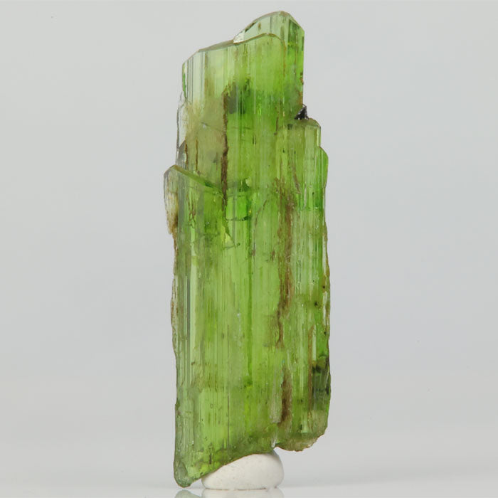 translucent green tremolite thumbnail crystal mineral specimen