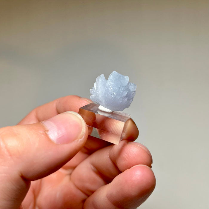 Fan-shaped prehnite crystal cluster from Tanzania