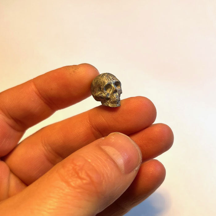 Gibion Meteorite Skull Carving
