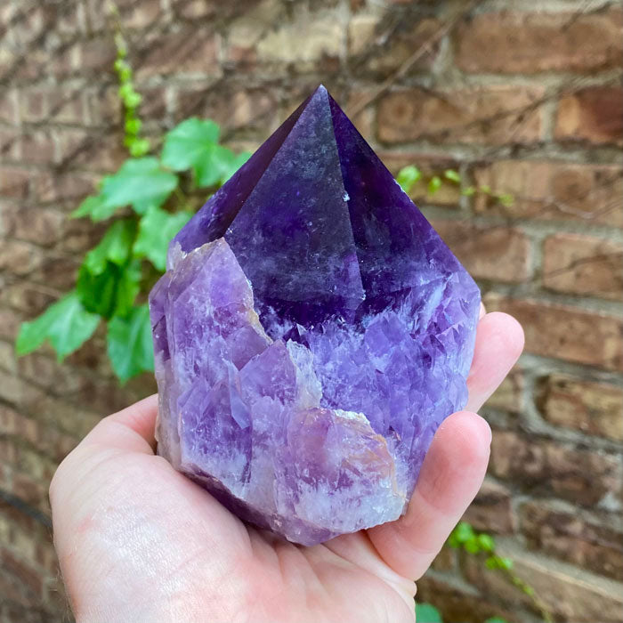 Amethyst Crystal Point Natural Bolivia