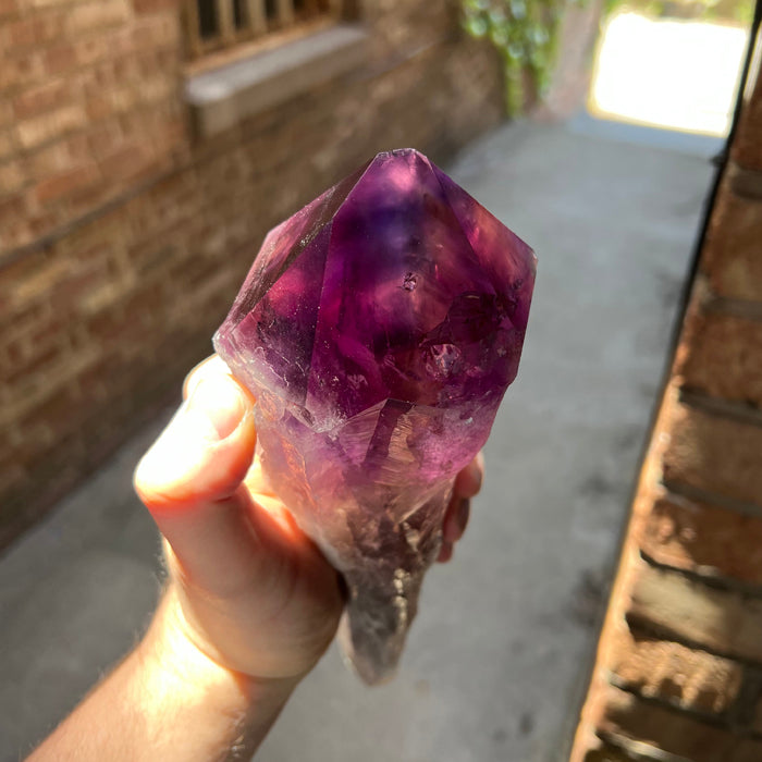 Amethyst root