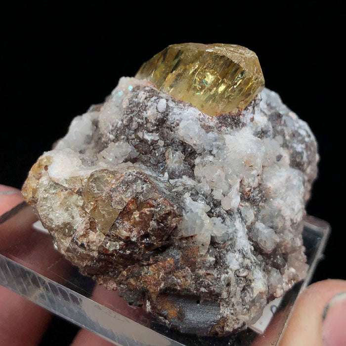 Raw Apatite Crystal on Matrix