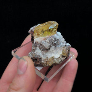 Yellow Apatite Mineral Specimen Mexico