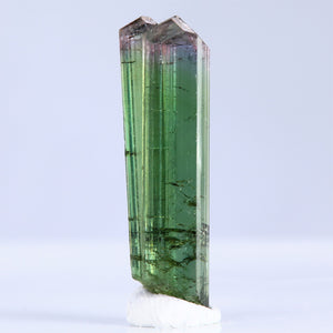Bicolor tourmaline crystal specimen cruzeiro Brazil