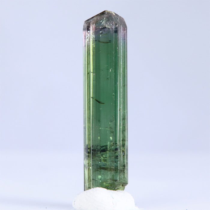 Brazil bicolor tourmaline crystal specimen