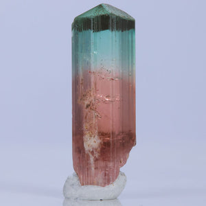 Green and Pink Congo Tourmaline Crystal Raw Specimen