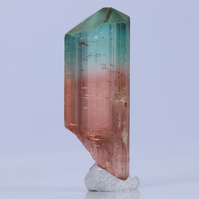 BiColor Congo Tourmaline Crystal Rough Raw Gemmy