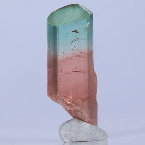 Gemmy BiColor tourmaline crystal Raw Rough Mineral Specimen
