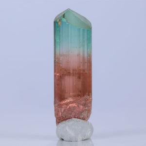 Bicolor Tourmaline Crystal from democratic republic of congo