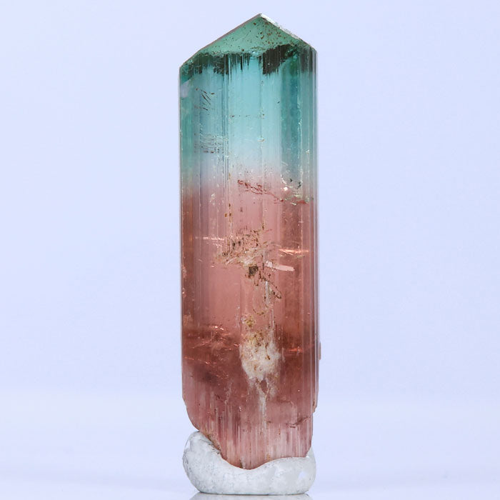 BiColor Congo Tourmaline Crystal Rough Raw Gemmy