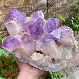 Extra Large Amethyst Raw Crystal Cluster Home Decor