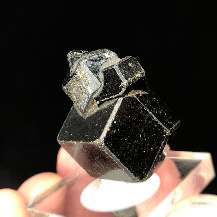 Raw Black Garnet Cluster