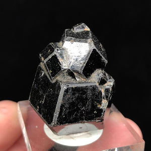 Raw Black Garnet Cluster Mineral Specimen