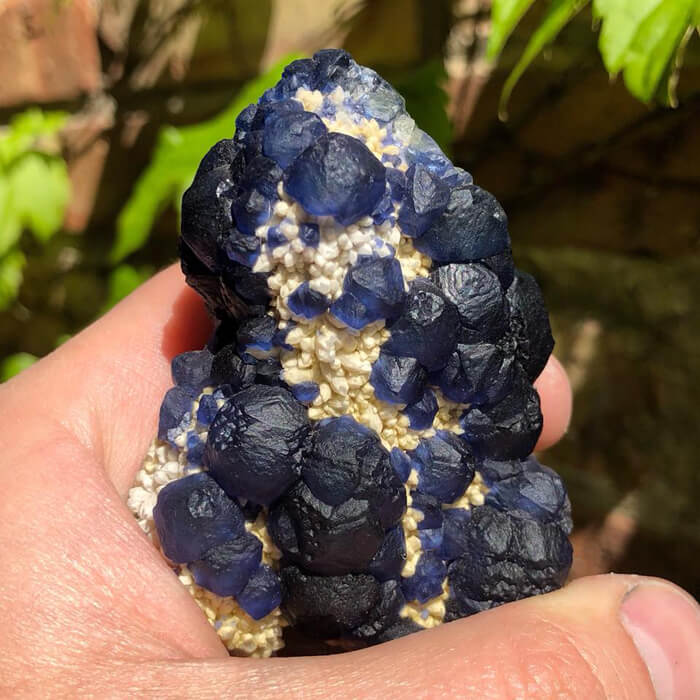 Raw Blue Fluorite crystals on Quartz