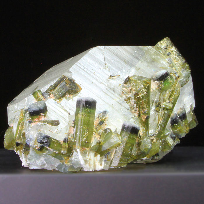 Brazil Tourmaline in Quartz Crystal Specimen