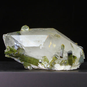 Multiple Bi-Color Tourmalines in a Quartz Crystal
