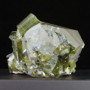 Multiple Bi-Color Tourmalines in a Quartz Crystal