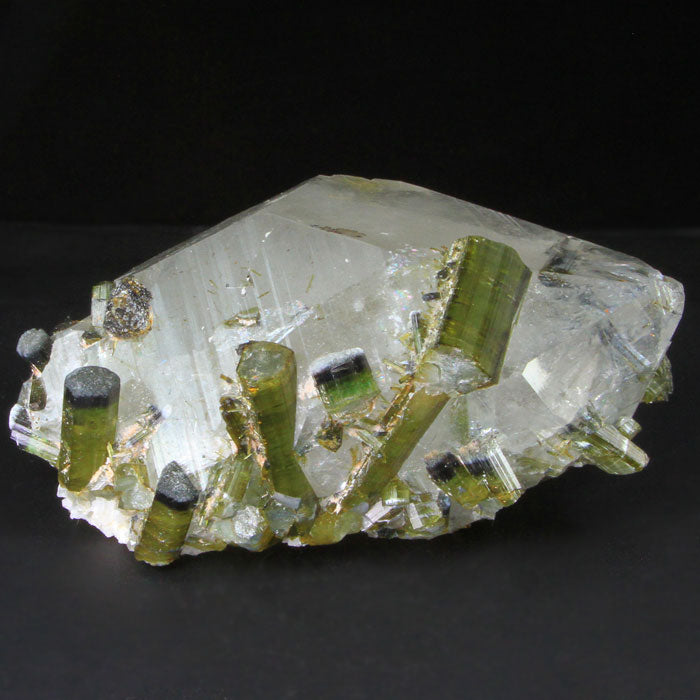 Multiple Bi-Color Tourmalines in a Quartz Crystal